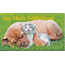 Marant Cards Kado enveloppe - Kat en Hond