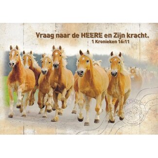 Good Seed Cards Nader tot God