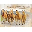 Good Seed Cards Nader tot God