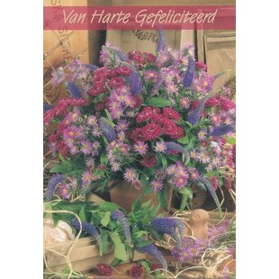 Postkaart Gefeliciteerd