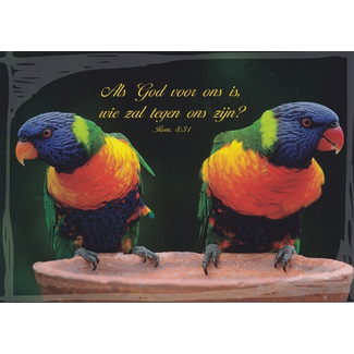 Good Seed Cards Als God voor ons is...