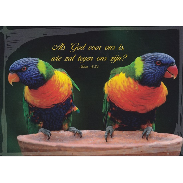 Good Seed Cards Als God voor ons is...