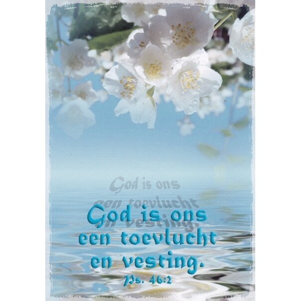 Good Seed Cards Toevlucht