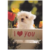 I Love You