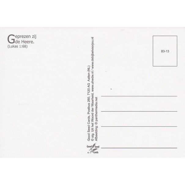 Good Seed Cards Geboortekaart Dochter