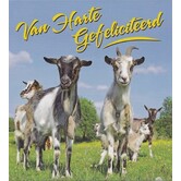 Gefeliciteerd Geiten