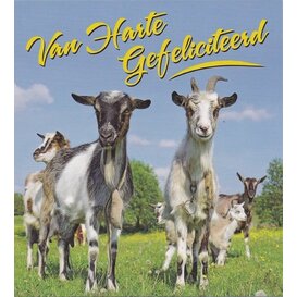 Gefeliciteerd Geiten