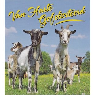 Gefeliciteerd Geiten