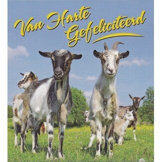 Marant Cards Gefeliciteerd Geiten
