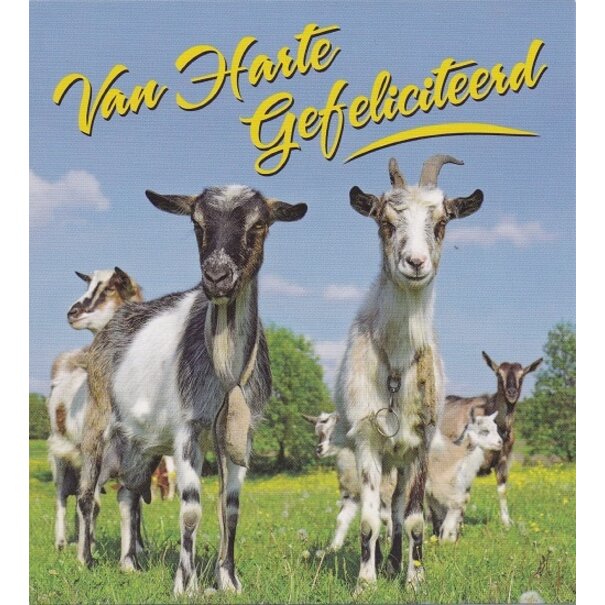 Marant Cards Gefeliciteerd Geiten