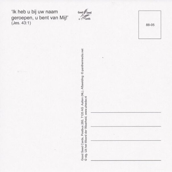Good Seed Cards 'k Leef met je mee!