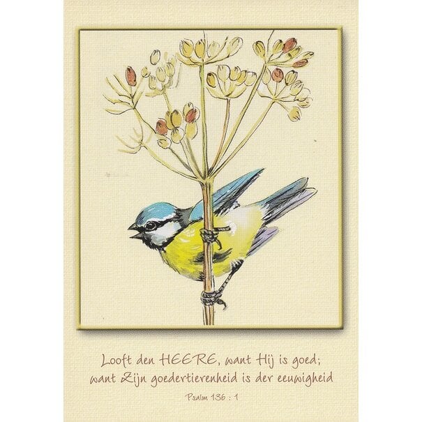 Psalm 136:1