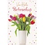 Belgian  Greetings Van harte Beterschap