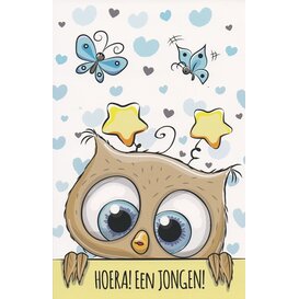 't is een Jongen
