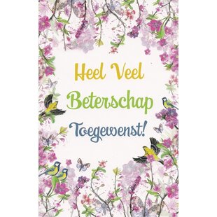 Beterschapskaart Bloemen en Vogels