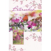 Beterschapskaart met roodborstje, roze bloesem en bloemen