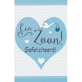 Geboortekaart zoon met ooievaar
