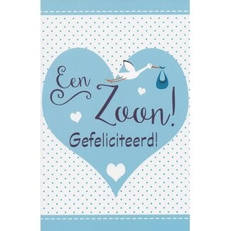 Belgian  Greetings Geboortekaart zoon met ooievaar