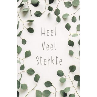 Belgian  Greetings Sterktekaart met eucalyptus