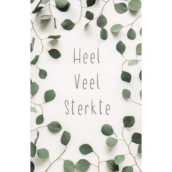 Belgian  Greetings Sterktekaart Heel veel sterkte met groene eucalyptusbladeren