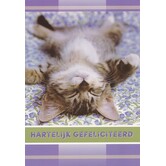 Gefeliciteerd kaart met grappige slapende kat – Hartelijk gefeliciteerd
