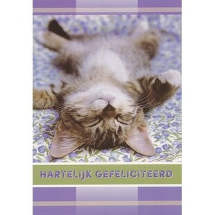 Gefeliciteerd kaart met slapende kat