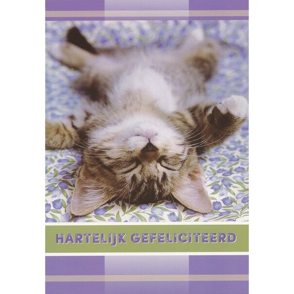 Marant Cards Gefeliciteerd kaart met grappige slapende kat – Hartelijk gefeliciteerd