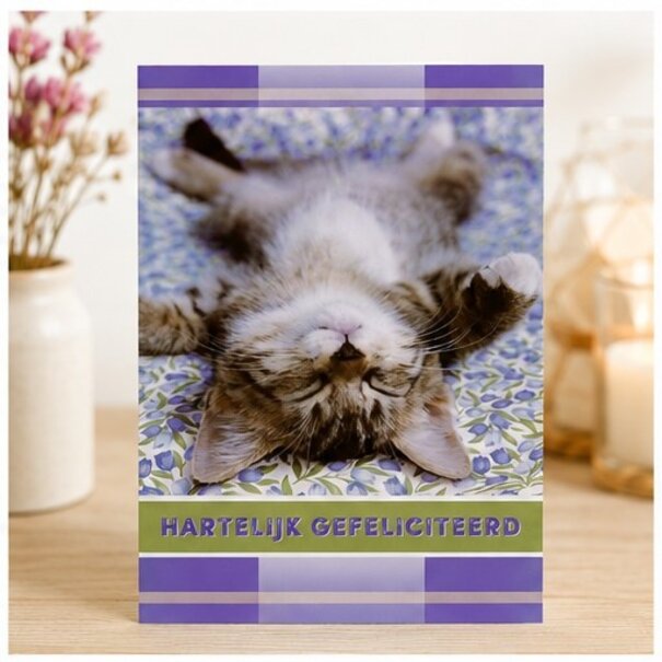 Marant Cards Gefeliciteerd kaart met grappige slapende kat – Hartelijk gefeliciteerd