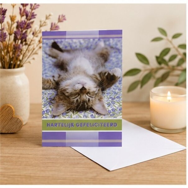 Marant Cards Gefeliciteerd kaart met grappige slapende kat – Hartelijk gefeliciteerd