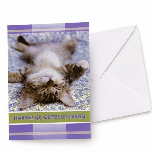 Marant Cards Gefeliciteerd kaart met grappige slapende kat – Hartelijk gefeliciteerd