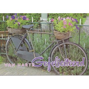 Verjaardagskaart fiets met bloemen