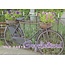 Marant Cards Verjaardagskaart Van harte gefeliciteerd met fiets en bloemen