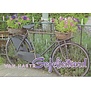 Verjaardagskaart Van harte gefeliciteerd met fiets en bloemen