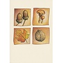 Herfstkaart met eikels, paddenstoelen, herfstblad en noot