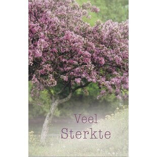 Veel Sterkte – Bloesem