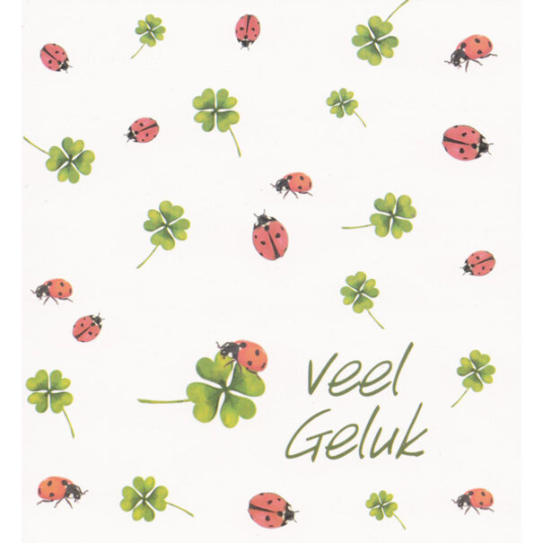 Marant Cards Wenskaart Veel Geluk met klavertjes vier en lieveheersbeestjes