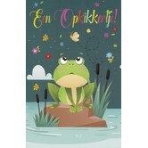 Beterschapskaart Een Opkikkertje met kikker en vlinder