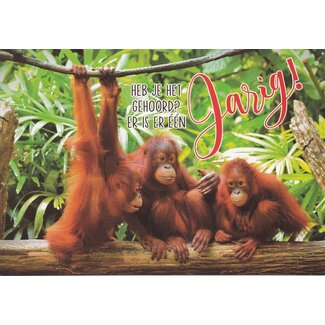 Marant Cards Jarig! – Aapjes