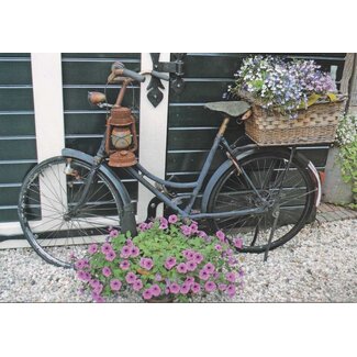 Marant Cards Blanco wenskaart fiets met bloemen