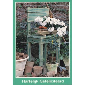 Marant Cards Prentbriefkaart Hartelijk Gefeliciteerd