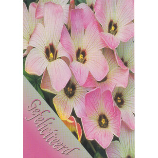 Marant Cards Hartelijk Gefeliciteerd - Roze bloemen