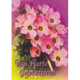 Marant Cards Hartelijk Gefeliciteerd - Roze bloemen