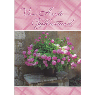 Marant Cards Hartelijk Gefeliciteerd - Roze Rozen