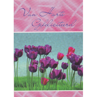 Marant Cards Hartelijk Gefeliciteerd - Paarse Tulpen