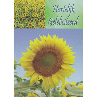 Marant Cards Hartelijk Gefeliciteerd - Zonnebloem