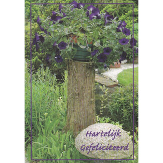 Marant Cards Hartelijk Gefeliciteerd - Paarse bloemen