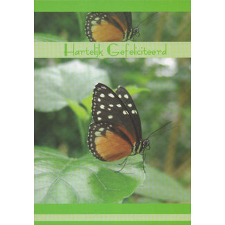 Marant Cards Hartelijk Gefeliciteerd - Vlinder