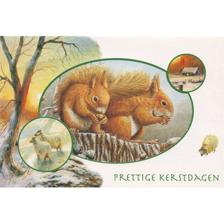 Kerstkaart met eekhoorns