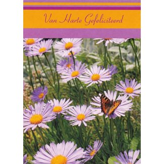 Marant Cards Hartelijk Gefeliciteerd - Bloementuin