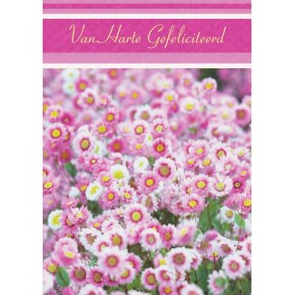 Marant Cards Hartelijk Gefeliciteerd - Roze bloemen
